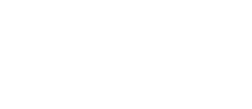 Mr punter